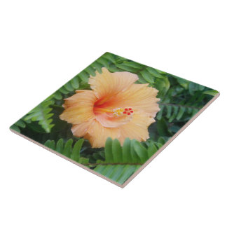 Azulejo De Cerámica Naranja Hibiscus Flower with Fermes