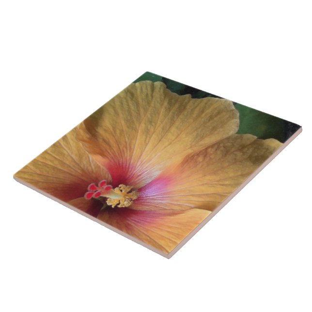 Azulejo De Cerámica Naranja Hibiscus Ruffle (Lado)