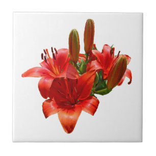 Azulejo De Cerámica Naranja Lily Blossoms - Frente izquierdo