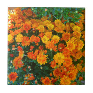Azulejo De Cerámica Naranja Margarita Daisy Tile