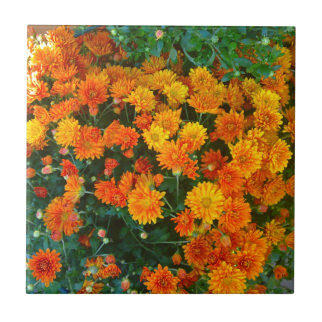 Azulejo De Cerámica Naranja Margarita Daisy Tile (Frente)