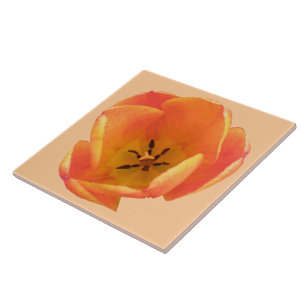 Azulejo De Cerámica Naranja Tulip Tile
