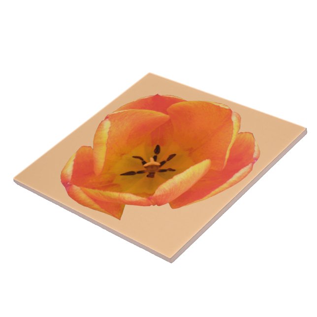 Azulejo De Cerámica Naranja Tulip Tile (Lado)