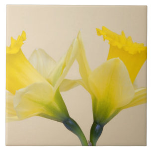Azulejo De Cerámica Narcisos amarillos