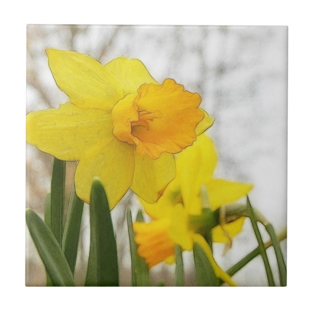 Azulejo De Cerámica Narcisos Sunlit (Frente)