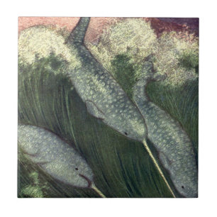 Azulejo De Cerámica Narvales, Animales Marinos Vintage Ballenas Vida M