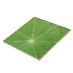 Azulejo De Cerámica Nasturtium Leaf Tile