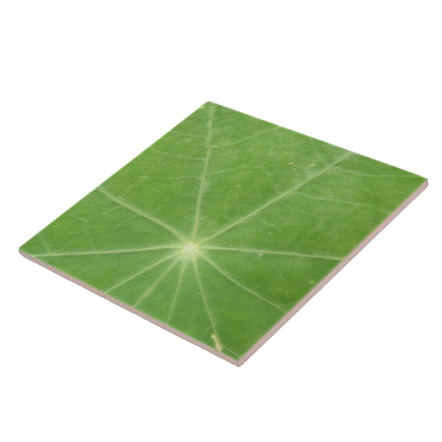Azulejo De Cerámica Nasturtium Leaf Tile (Lado)