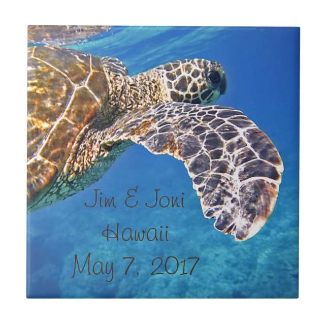 Azulejo De Cerámica Natación hawaiana de la tortuga de mar (Frente)
