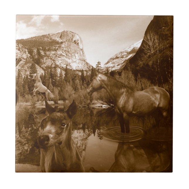 Azulejo De Cerámica nativo americano (Frente)