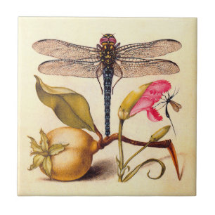 Azulejo De Cerámica Naturaleza Botánica Libélula Arte Hoefnagel