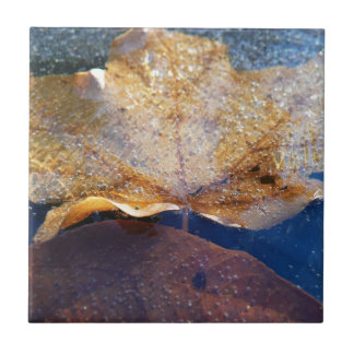 Azulejo De Cerámica Naturaleza otoñal de la hoja de arce amarilla cong
