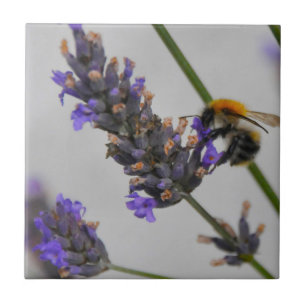 Azulejo De Cerámica Naturas trabajadores maravillosos