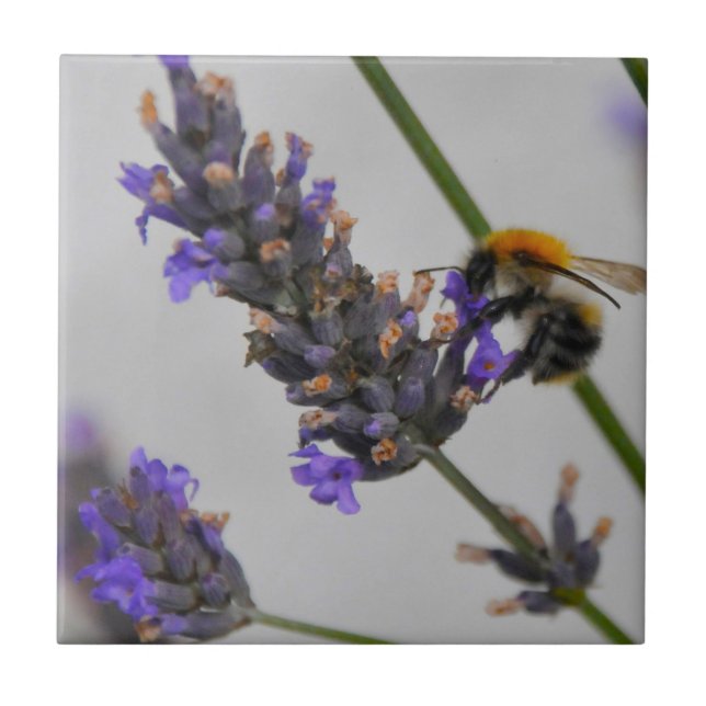 Azulejo De Cerámica Naturas trabajadores maravillosos (Frente)