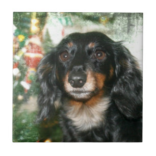 Azulejo De Cerámica Navidad del Dachshund
