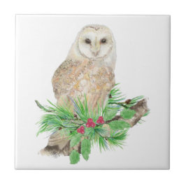 Azulejo De Cerámica Navidades acuarelas Barn Owl Bird Wildlife