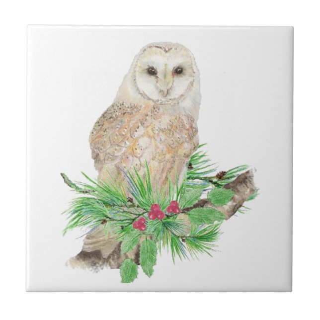 Azulejo De Cerámica Navidades acuarelas Barn Owl Bird Wildlife (Frente)