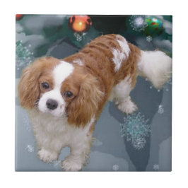 Azulejo De Cerámica Navidades de Cavalier King Charles Spaniel