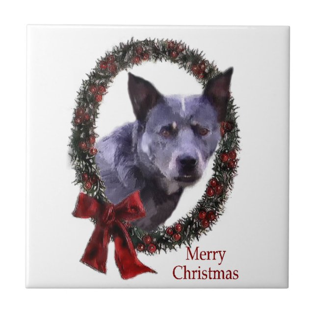 Azulejo De Cerámica Navidades de ganado vacuno de Australia (Frente)