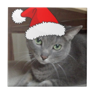 Azulejo De Cerámica Navidades de gato azul de Rusia