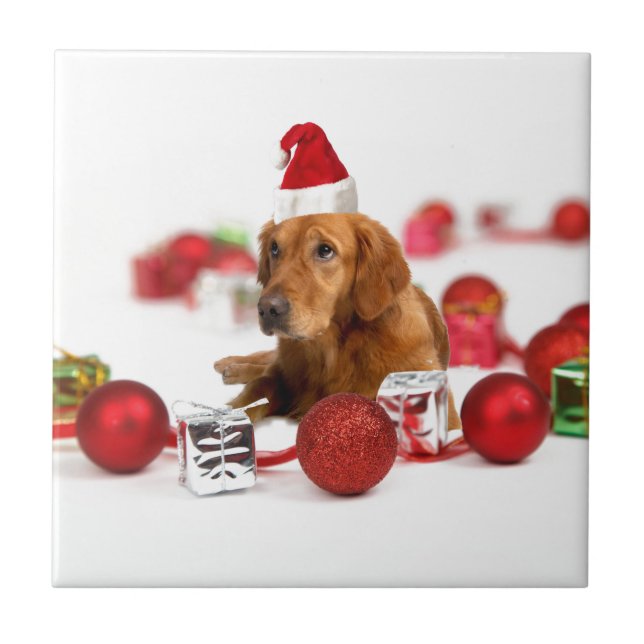 Azulejo De Cerámica Navidades de Golden Retriever Dog W Red Santa Hat (Frente)