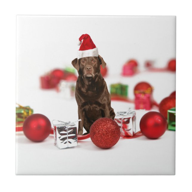 Azulejo De Cerámica Navidades de perro de Labrador marrón con regalos  (Frente)