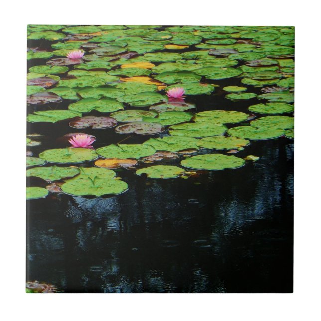 Azulejo De Cerámica negro loto rosa (Frente)