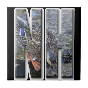 AZULEJO DE CERÁMICA NH NEW HAMPSHIRE