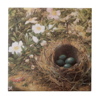 Azulejo De Cerámica Nido de pájaro y rosas silvestres por John William