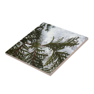 Azulejo De Cerámica Nieve en ramas verdes