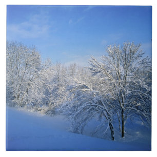 Azulejo De Cerámica Nieve récord en Louisville, Kentucky.