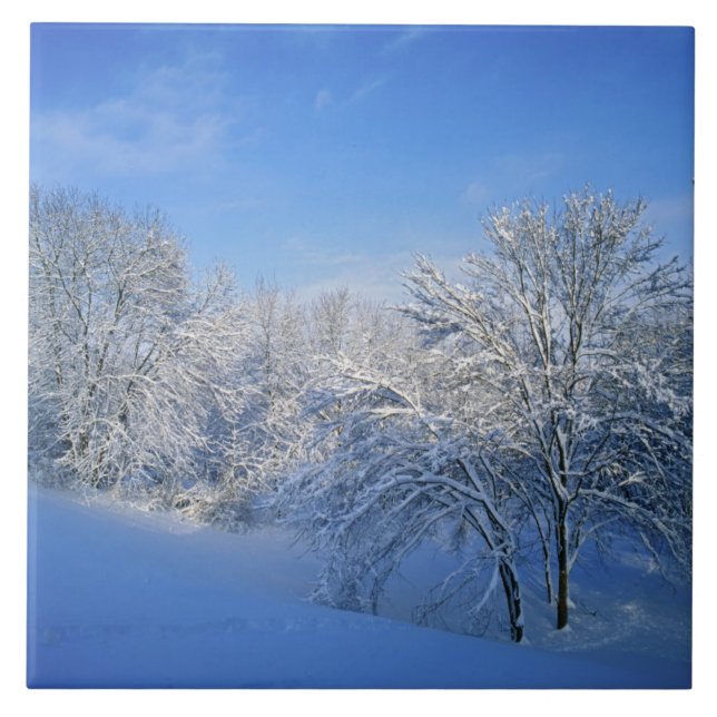 Azulejo De Cerámica Nieve récord en Louisville, Kentucky. (Frente)