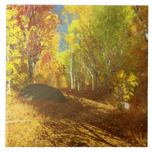 Azulejo De Cerámica Nilo Decorativo Claro Caída