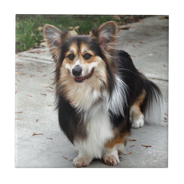 Azulejo De Cerámica Nipsey (Frente)