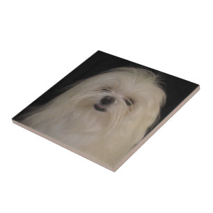 Azulejo De Cerámica No hago los mejores nudos MALTESE