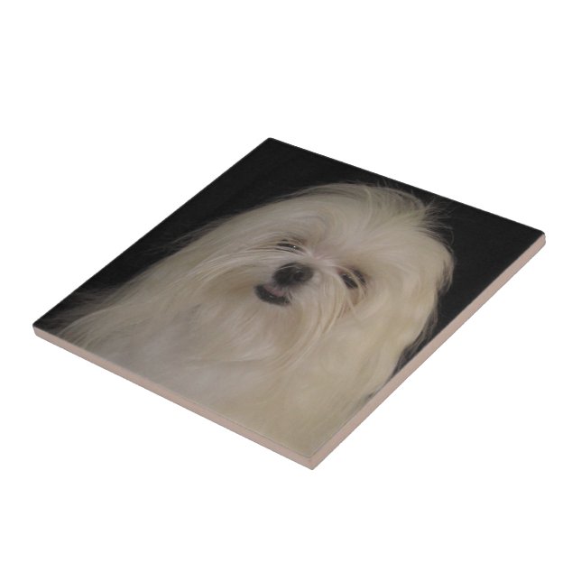 Azulejo De Cerámica No hago los mejores nudos MALTESE (Lado)