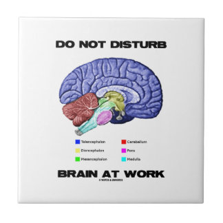 Azulejo De Cerámica No perturbe el cerebro en el trabajo (el humor