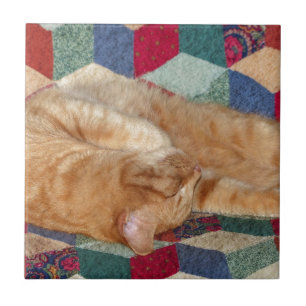 Azulejo De Cerámica Nomenclatura de gatos