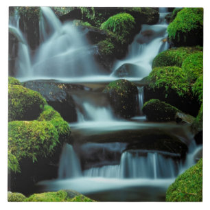 Azulejo De Cerámica Norteamérica; EE. UU.; Washington, cascada Sol Duc