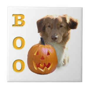 Azulejo De Cerámica Nova Scotia Halloween BOO