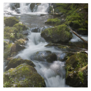 Azulejo De Cerámica Nuevo Brunswick, Canadá. Dickson Falls en Fundy