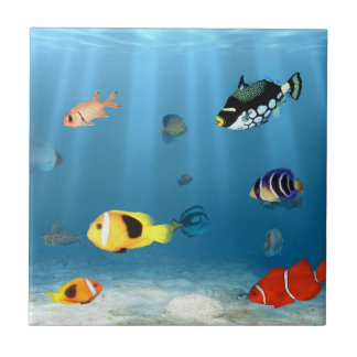 Azulejo De Cerámica Océanos de pescados