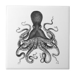Azulejo De Cerámica Octopus vintage
