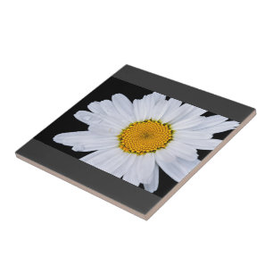 Azulejo De Cerámica oferta