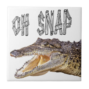 Azulejo De Cerámica OH SNAP - Gator enojado