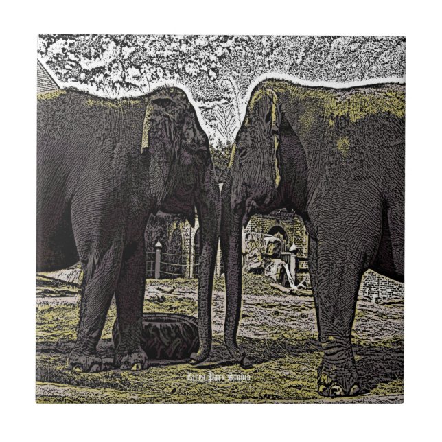 Azulejo De Cerámica Ojos elefantes (Frente)