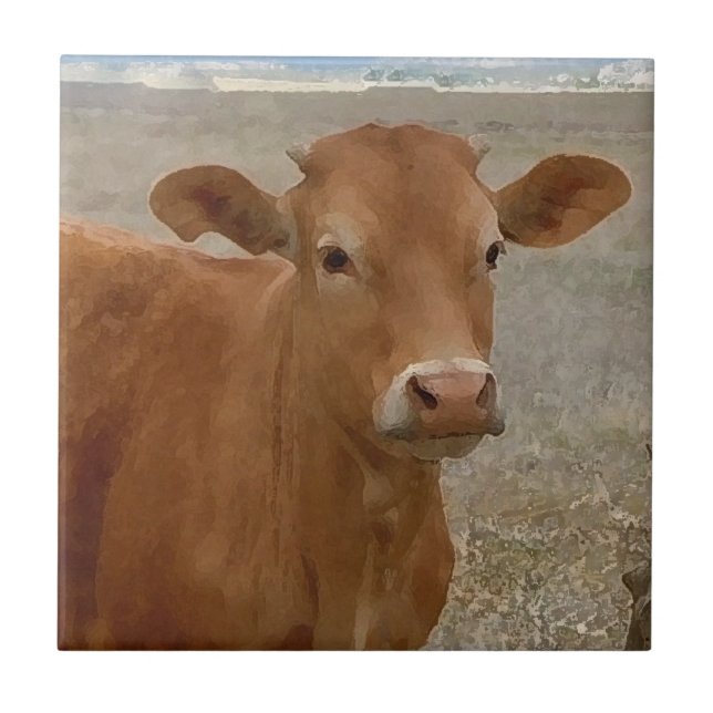 Azulejo De Cerámica Ojos grandes de la vaca - ganado rojo (Frente)