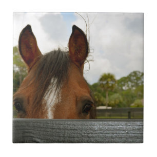 Azulejo De Cerámica ojos sobre la cabeza de caballo de la cerca