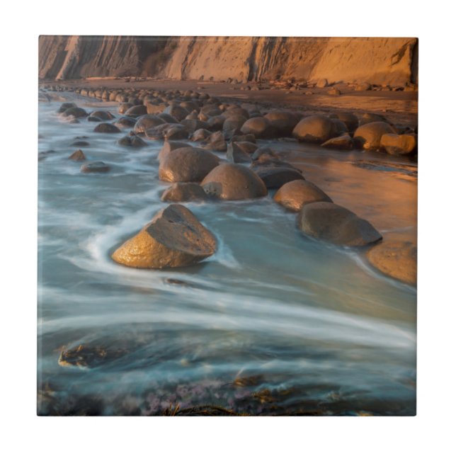 Azulejo De Cerámica Oleada a lo largo de la playa, California (Frente)