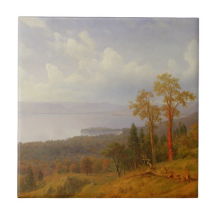 Azulejo De Cerámica Opinión sobre el Hudson que mira a través del